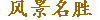 羰ʤ